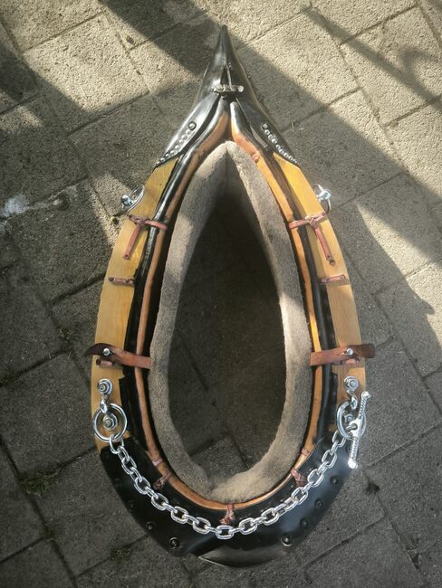 Spitzkumt, Komplettset zum Holzrücken, Gina, Horse Harness, Rümlang