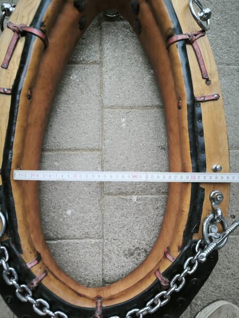 Spitzkumt, Komplettset zum Holzrücken, Gina, Horse Harness, Rümlang, Image 3