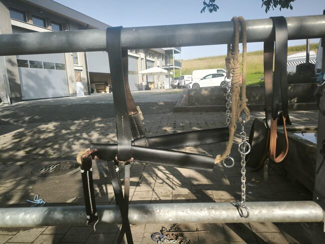 Spitzkumt, Komplettset zum Holzrücken, Gina, Kutschgeschirr, Rümlang, Abbildung 6