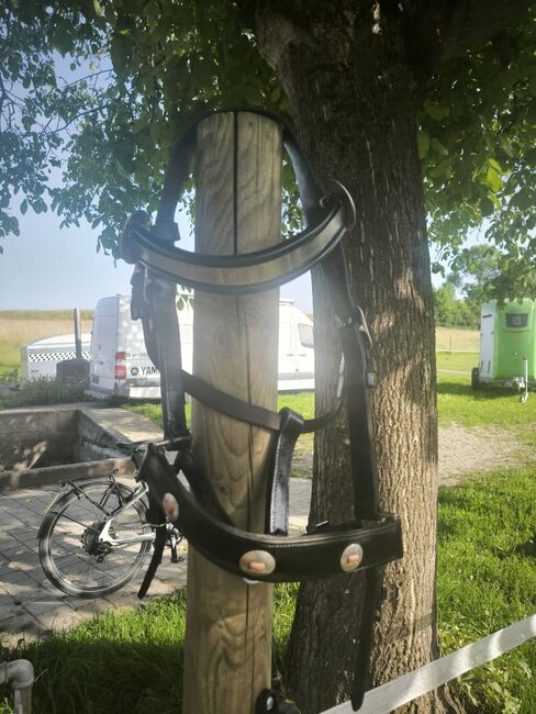 Spitzkumt, Komplettset zum Holzrücken, Gina, Kutschgeschirr, Rümlang, Abbildung 5