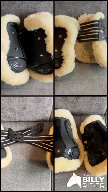 Spooks Streichkappen, Spooks, Kathrin Z., Tendon Boots, Göggingen , Image 5