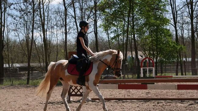 SPORT PONY, Károly , Konie na sprzedaż, Kecskemét , Image 6