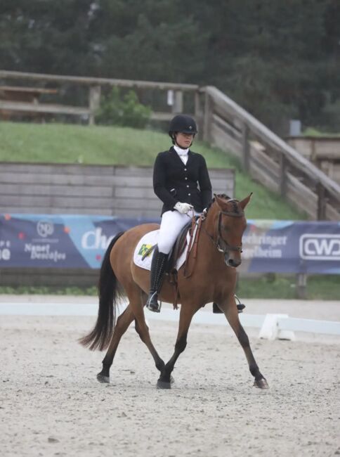 Sportpony-Stute, 5 Jahre – Dressur & Vielseitigkeitstalent, lemaponies, Konie na sprzedaż, Rolle