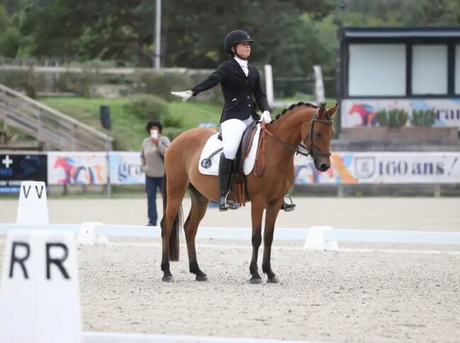 Sportpony-Stute, 5 Jahre – Dressur & Vielseitigkeitstalent, lemaponies, Konie na sprzedaż, Rolle, Image 6
