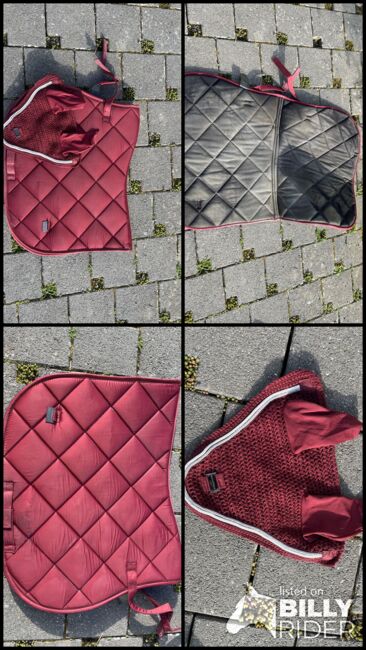 Springschabracke mit Fliegenohren, Felix Bühler , Elena Link , Dressage Pads, Urbar , Image 5