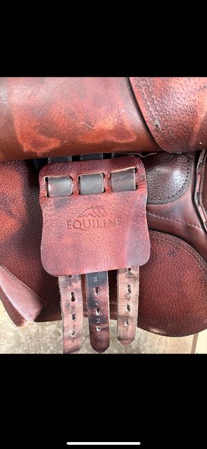 Springsattel Equiline 17Zoll, Equiline E5, Jess, Springsattel, Lachendorf, Abbildung 4