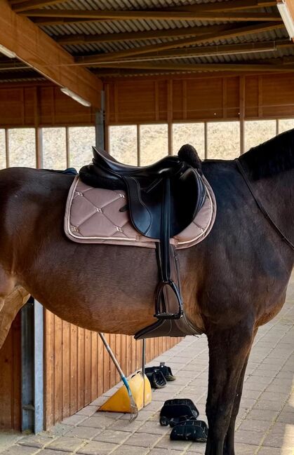 Springsattel Passier Performance 17,5 Zoll, Passier Performance, Selina Frei, Jumping Saddle, Oldenburg, Image 5
