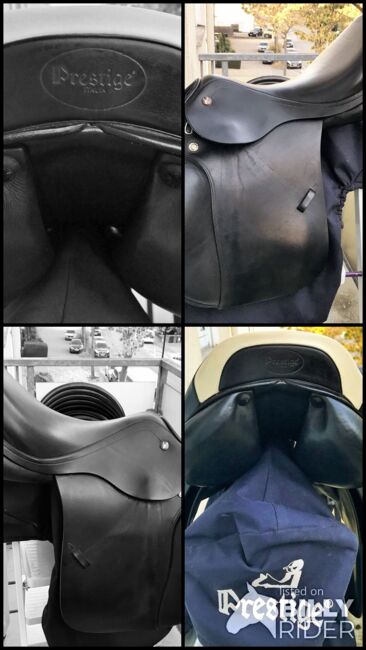 Springsattel Prestige Elastic Professional, Prestige Elastic Professional, Susanne, Jumping Saddle, Mannheim, Image 11