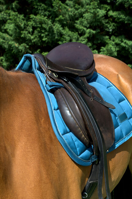 Springsattel Stübben Parzival - dunkelbraun , Sattel , Pferd , reiten, Stübben Parzival, Jule, Springsattel, Aschersleben, Abbildung 7