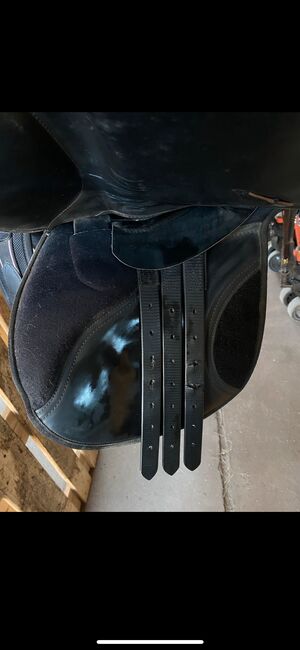 Springsattel, Thorowgood Springsattel, Melissa Najmann, Springsattel, Amt Wachsenburg, Abbildung 3