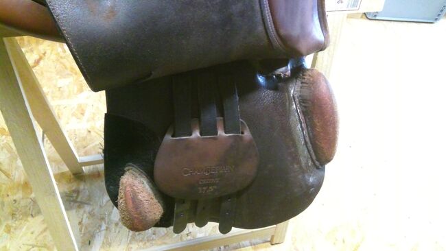 Springsattel Chamberlain 17.5 braun, privat, Jumping Saddle, friedrichsthal, Image 3