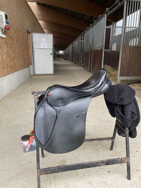 Springsattel (Euroriding), Euroriding, Celine Henkel, Jumping Saddle, Rot an der Rot, Image 2