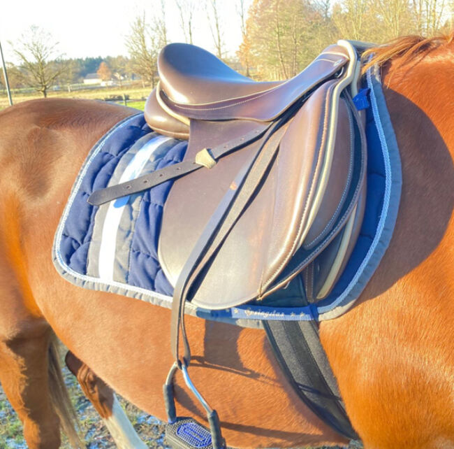 Springsattel, Kavalkade Proteus, Tanja Brock, Jumping Saddle, Drebber, Image 5