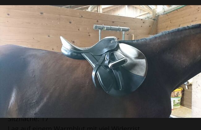 Springsattel Kieffer Inn AT, Kieffer Inn AT , Carina, Jumping Saddle, Wilhelmsburg, Image 7