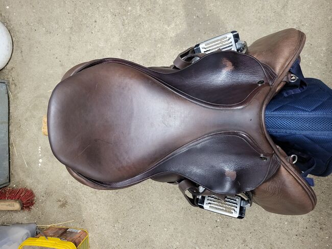 Springsattel Seabis Modell Aachen 17,5", Seabis Aachen, Miri Men, Jumping Saddle, Grevenbroich, Image 5