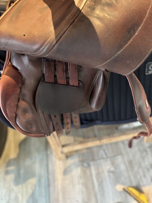 Springsattel Seabis, Seabis Piet Raijmakers, Denise , Jumping Saddle, Nettetal, Image 4