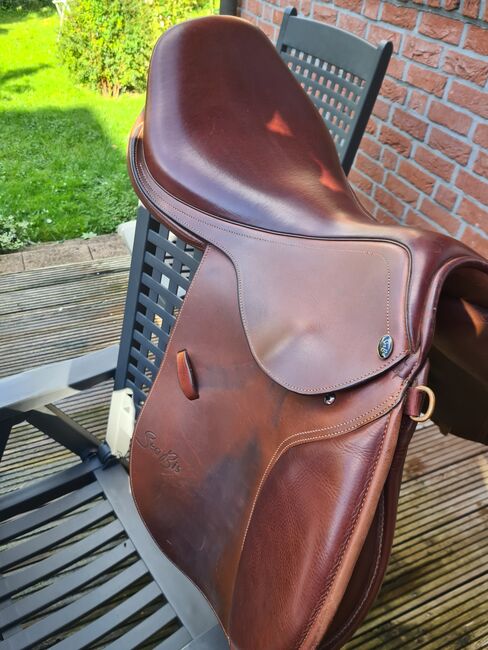 Springsattel, Seabis Utah, Friedrich , Jumping Saddle, Alpen