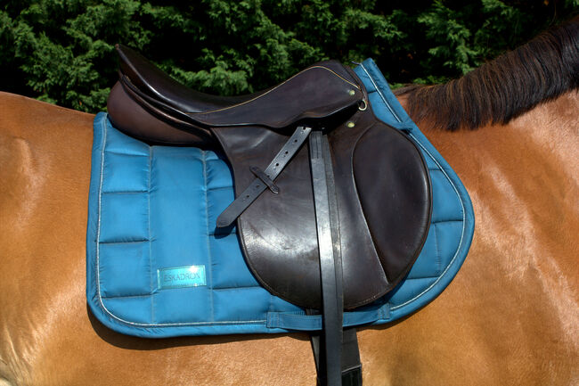 Springsattel Stübben Parzival - dunkelbraun , Sattel , Pferd , reiten, Stübben Parzival, Jule, Jumping Saddle, Aschersleben, Image 5