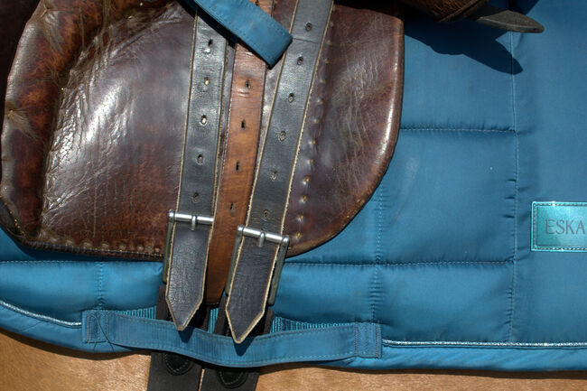 Springsattel Stübben Parzival - dunkelbraun , Sattel , Pferd , reiten, Stübben Parzival, Jule, Jumping Saddle, Aschersleben, Image 3
