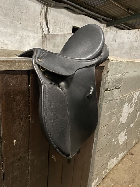 Springsattel, Wintec , Celina Eleni Reinke , All Purpose Saddle, Bremerhaven , Image 3