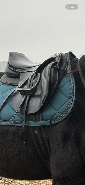 Springsattel schwarz, Pfiff Gotthardt, Ophelie Bley, Jumping Saddle, Stendal