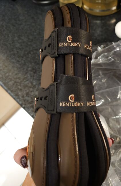 Springgamschen, Kentucky D30, Kentucky D30, Christin , Tendon Boots, Freudenstadt, Image 5