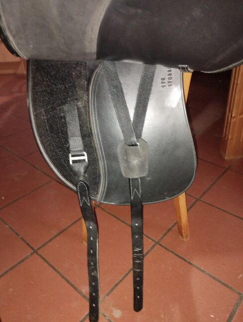 Letek by Tekna, Sarah Bachl , Dressage Saddle, Oberer Schlossberg, Image 5