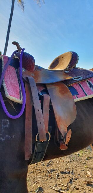 Srs barrel racing saddle, Srs , Jaimie-lee Parkes, Western Saddle, Home hill, Image 6