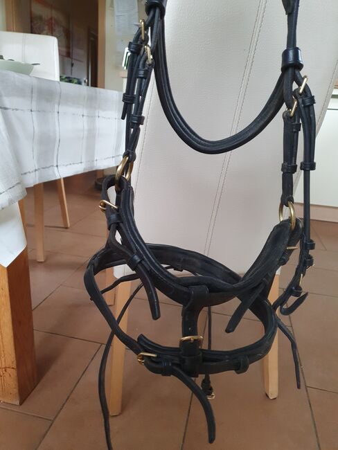 ST Zaum Trense WB, ST Zaum, Stefanie , Bridles & Headstalls, Bedburg, Image 2