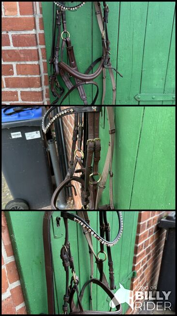 St-Zaum, Gr. Wb, braun, St-Zaum St-Zaum, Sabine , Bridles & Headstalls, Nienhagen, Image 4