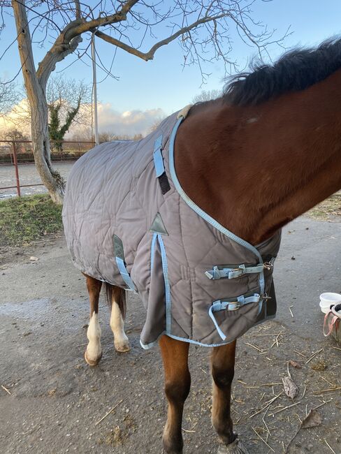 Stalldecke Thermostar ca 145 cm, Waldhausen Thermostar , Isabelle Köster, Horse Blankets, Sheets & Coolers, Staufen, Image 7