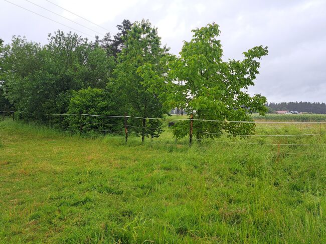 Stallauflösung, ROMY, Electric Fencing Equipment, Kraiburg, Image 2