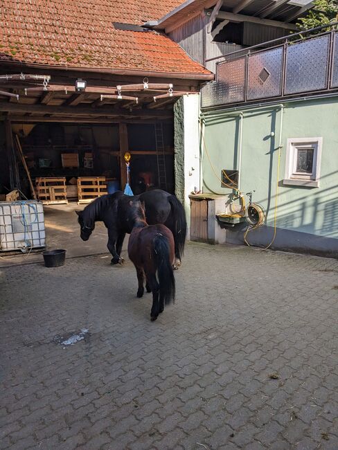 Stallplatz, Nadja, Horse & Stable Mats, Dittelbrunn, Image 5