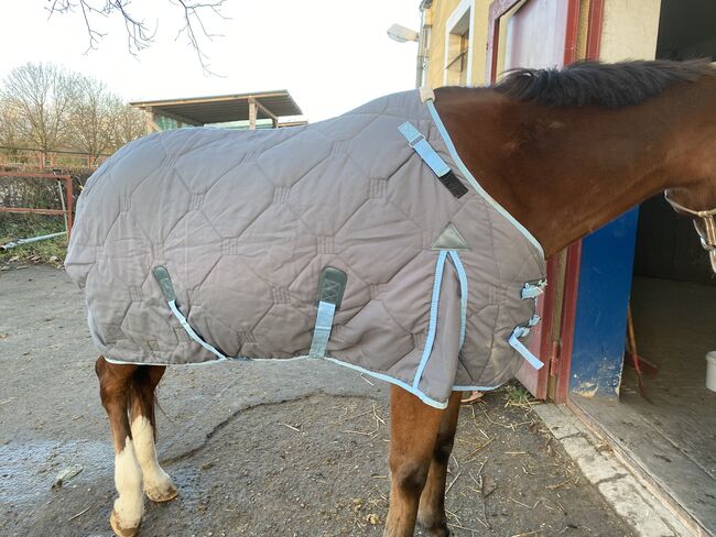 Stalldecke Thermostar ca 145 cm, Waldhausen Thermostar , Isabelle Köster, Horse Blankets, Sheets & Coolers, Staufen, Image 3