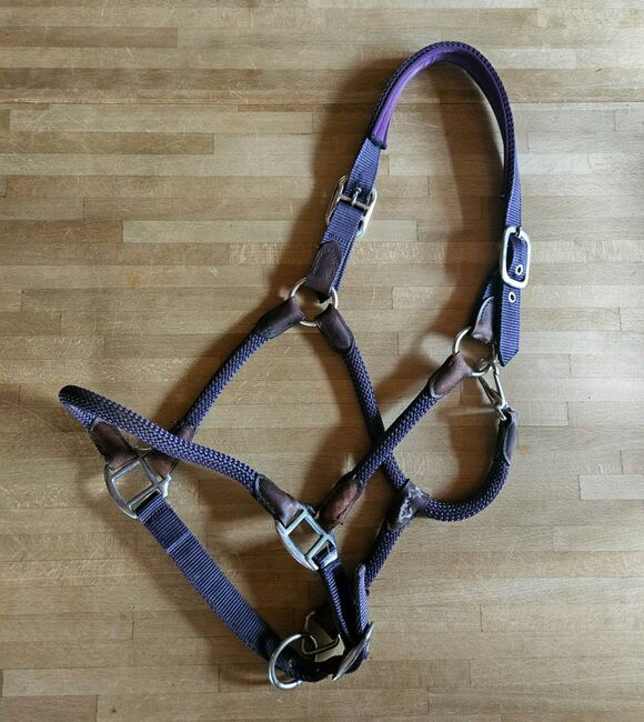 Stallhalfter in Seiloptik Warmblut, Showmaster, Sabine, Halters, Börtlingen