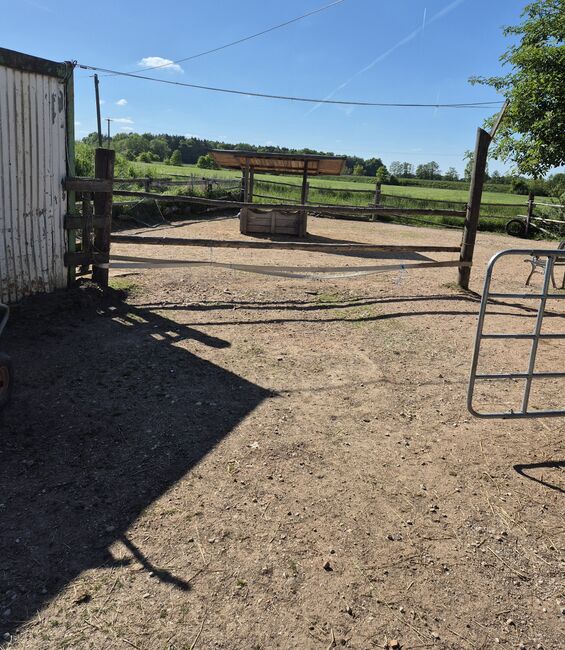 Stall frei Minis, Sigrid Brandl-von Schweller, Horse Stables, Wörth, Image 2