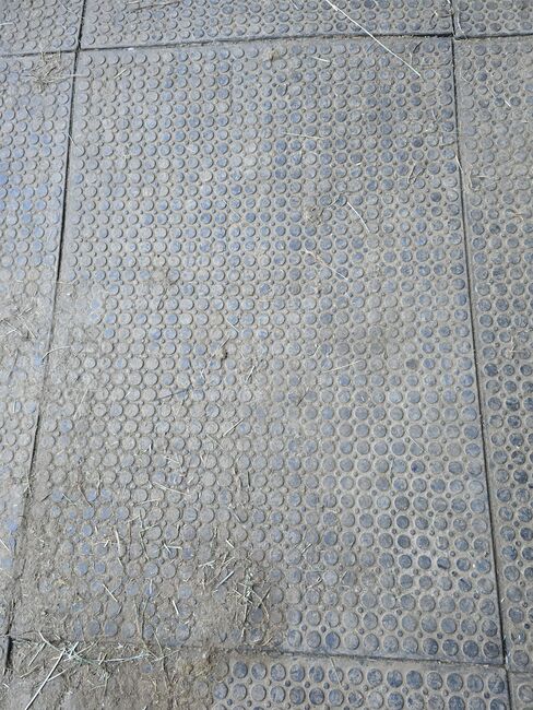 Stallmatten, Nicole, Horse & Stable Mats, Reichertshofen 