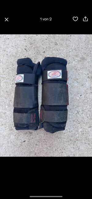 Stallgamaschen M, Sk, Tendon Boots, Landshut 