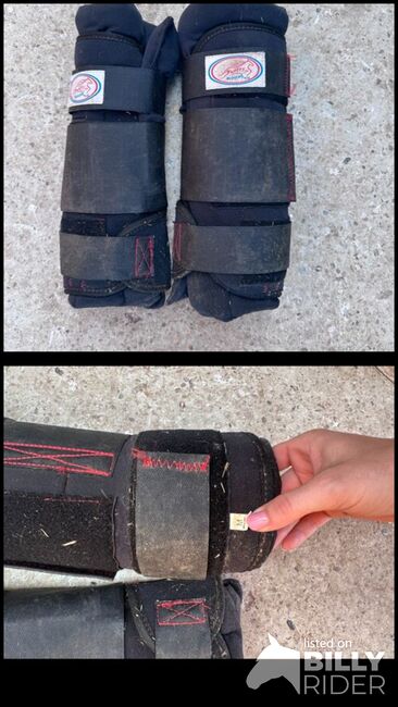 Stallgamaschen M, Sk, Tendon Boots, Landshut , Image 3