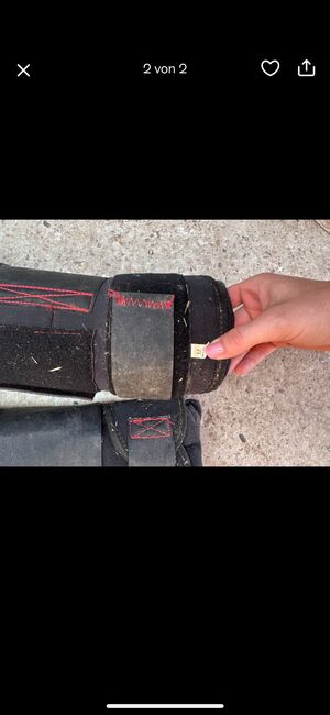 Stallgamaschen M, Sk, Tendon Boots, Landshut , Image 2