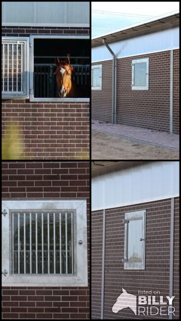 Stallfenster | Pferdestall Fenster | Dreh-kipp Funktion, Rutjes Pferdenboxen und Zäume, Stabilne maty, Goor, Image 5