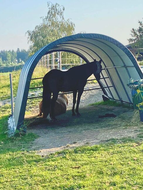 Stallplatz, Barbara Schlor, Horse Stables, Rohrdorf