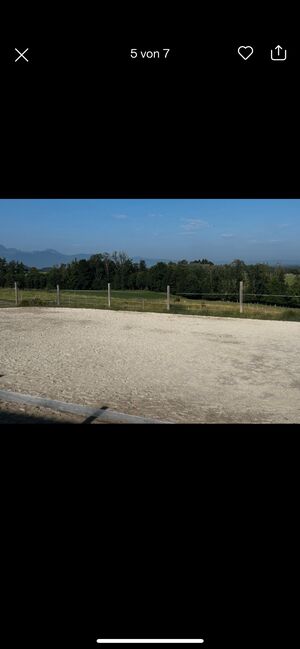 Stallplatz, Barbara Schlor, Horse Stables, Rohrdorf, Image 6