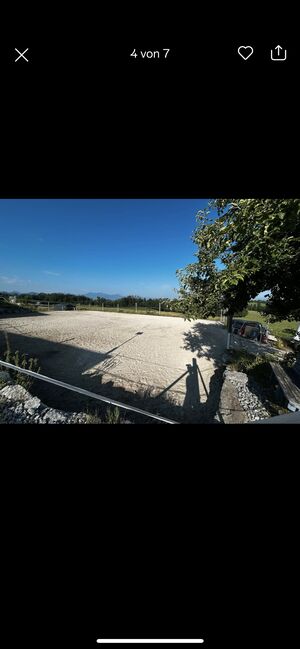 Stallplatz, Barbara Schlor, Horse Stables, Rohrdorf, Image 7
