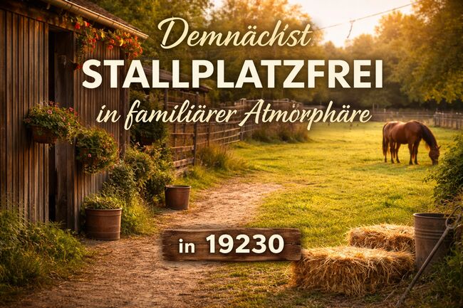 Demnächst Stallplatz frei, Claudia , Other, hoort