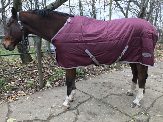 Stalldecke 150g, Thermo Master, Helen , Horse Blankets, Sheets & Coolers, Freiberg