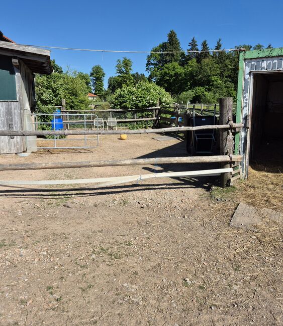 Stall frei Minis, Sigrid Brandl-von Schweller, Horse Stables, Wörth, Image 4