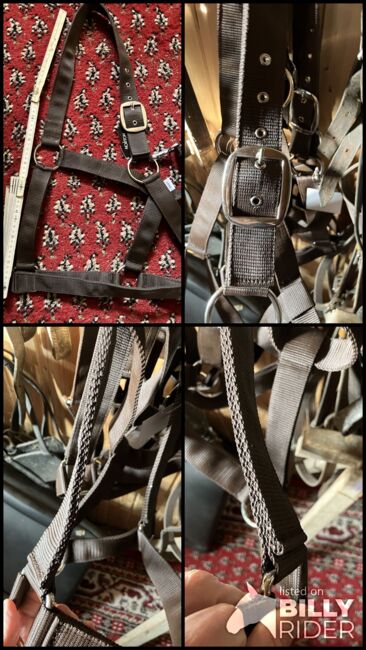 Stallhalfter Kaltblut NEU, Stefanie , Halters, Miesbach, Image 5