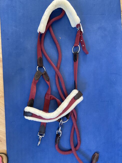 Stallhalfter mit Fell und Strick - neu-, Natalie Klamt, Halters, Schalkau