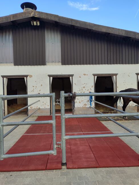 Stallmatten, sehr guter Zustand, Reuko, Katharina Marschall, Horse & Stable Mats, Ortenberg, Image 2